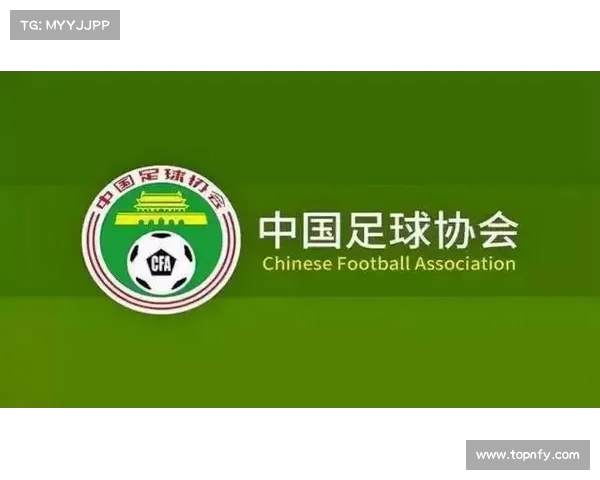 足球俱乐部引援资金投入分析及其对球队竞争力的影响探讨 足球俱乐部引援资金投入分析及其对球队竞争力的影响探讨