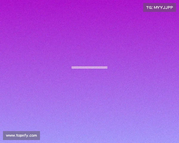 高效整理装备的技巧与方法，提升你的生活与工作效率